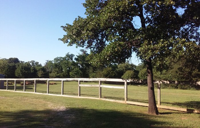 Field and Fence