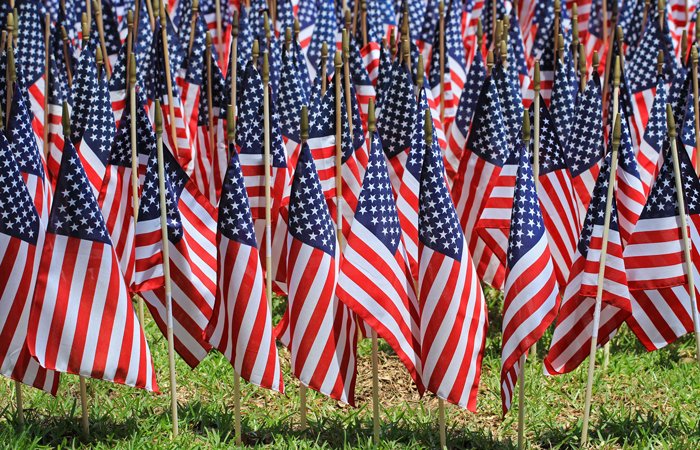 Flags in Field