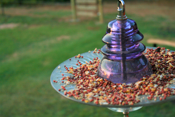 bird feeder 2